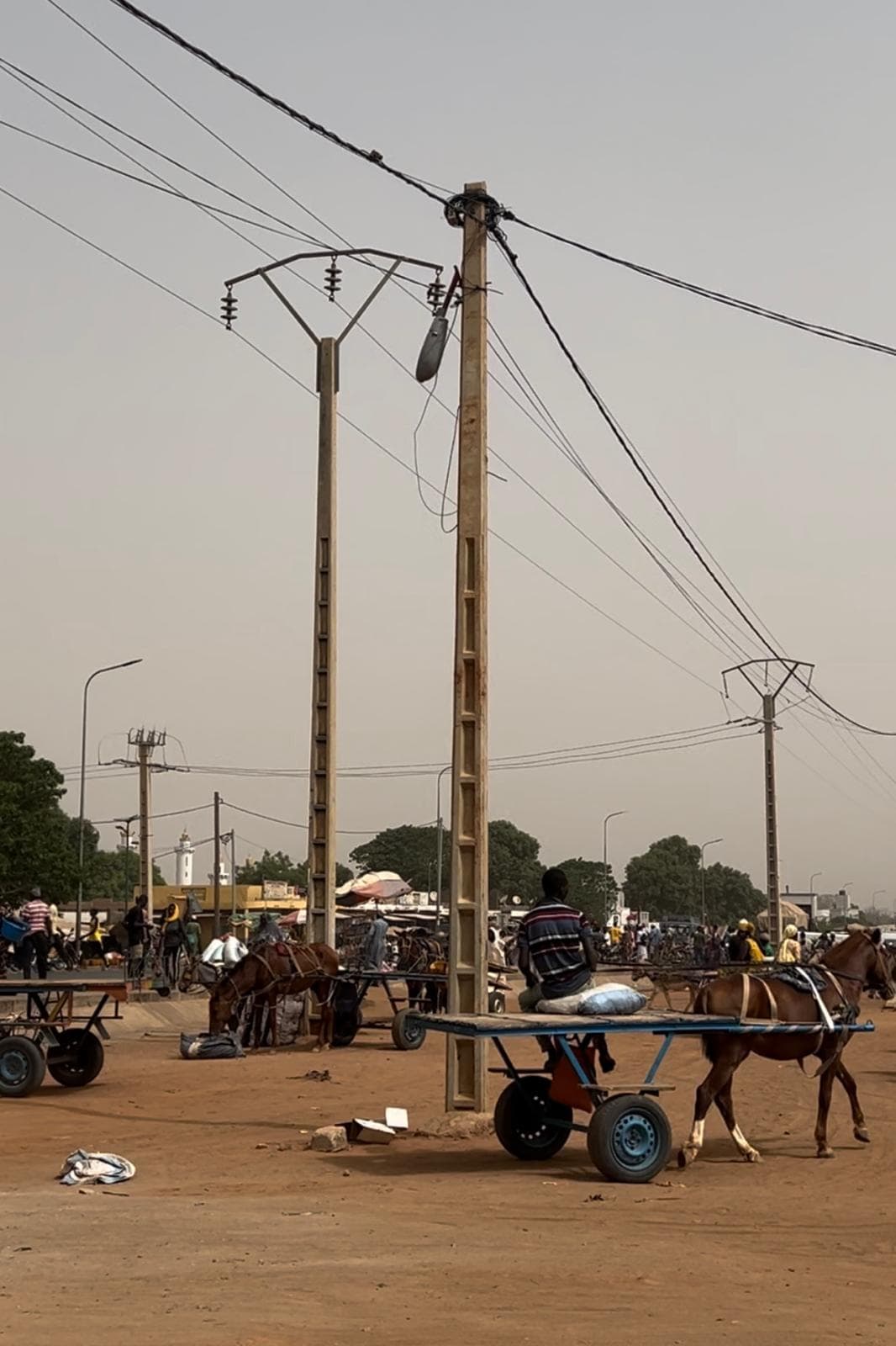 Field team conducting surveys in Senegal